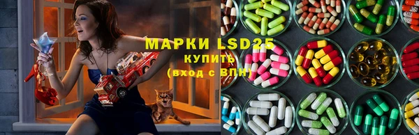 крисы Аркадак